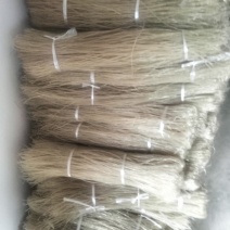 四川芭蕉芋粉条，大量新鲜现货，保质保量，欢迎选购