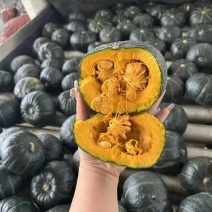 贝贝南瓜