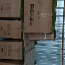 野生苔藓
