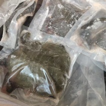 甲鱼