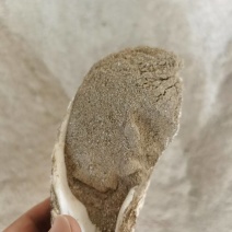 种植肥贝壳粉