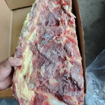 牛羽骨，