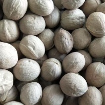 185纸皮核桃
