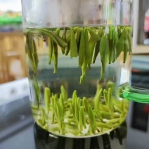 绿茶
