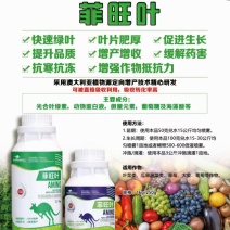 菲旺叶快速绿叶叶片肥厚浓绿，缓解药害促进植株健壮