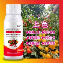 上色增甜膨果靓果促生长改善品质提早上市