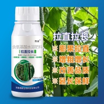 拉直拉长膨大增粗，改善品质提早上市，延长采摘
