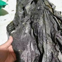 宽叶海带，无沙少黄叶，赶集直接堆着卖，
