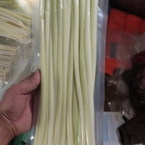 鲜蒲菜对接电商平台抖音和一件代发