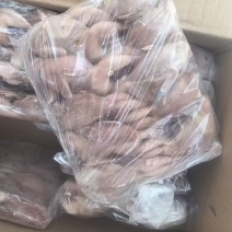 厂家2两放血鹌鹑30000只