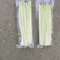 大量批发零售鲜蒲菜，对接电商，抖音和各大平台合作，一件代