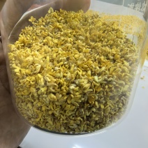 金秋特级干桂花，香气浓郁，品质上乘