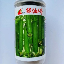 绿油一号丝瓜种子早熟绿油皮短棒肉丝瓜种籽清香丝瓜种子