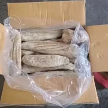 鲨鱼肚海鱼肚海鱼胃海八珍之一