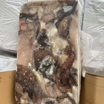 墨鱼皮2000克以上墨鱼杀出来的