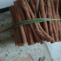 桂皮