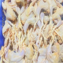 鹧鸪肉黄皮鹧鸪工厂直发欢迎进店咨询品质保障量大优惠