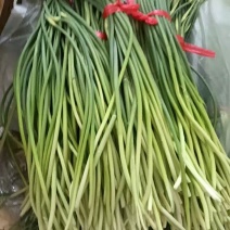 蒜薹