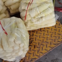 食堂剥壳茭白肉，价格优惠，基地直供