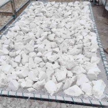 红薯淀粉精品