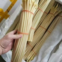 洪湖藕尖