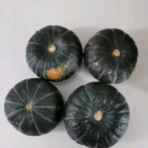 贝贝南瓜(一件代发)