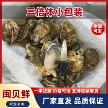 福建牡蛎生蚝一口蚝小包装家庭装5斤装福建外海蚝产地直发