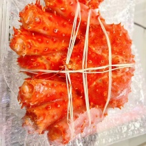熟冻帝王蟹