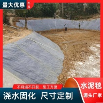 鱼塘.河道.水渠护坡，路面加固，水泥毯，土工材料
