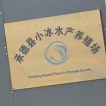 鱼塘出租，手续齐全，有停车场