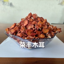 粉耳贵妃木耳粉木耳木耳