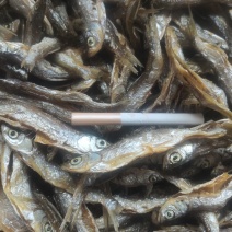 油炸蓝刀鱼干/水库鱼/无盐/长期稳定批发/包邮