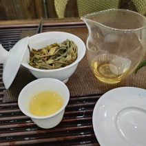 2025年荒山普洱茶