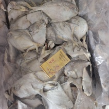库存尾货小鲳鱼7条