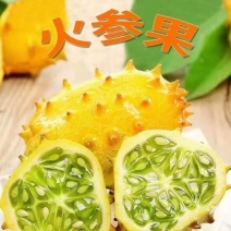 海南火参果.刺角瓜，全国批发！常年有货！