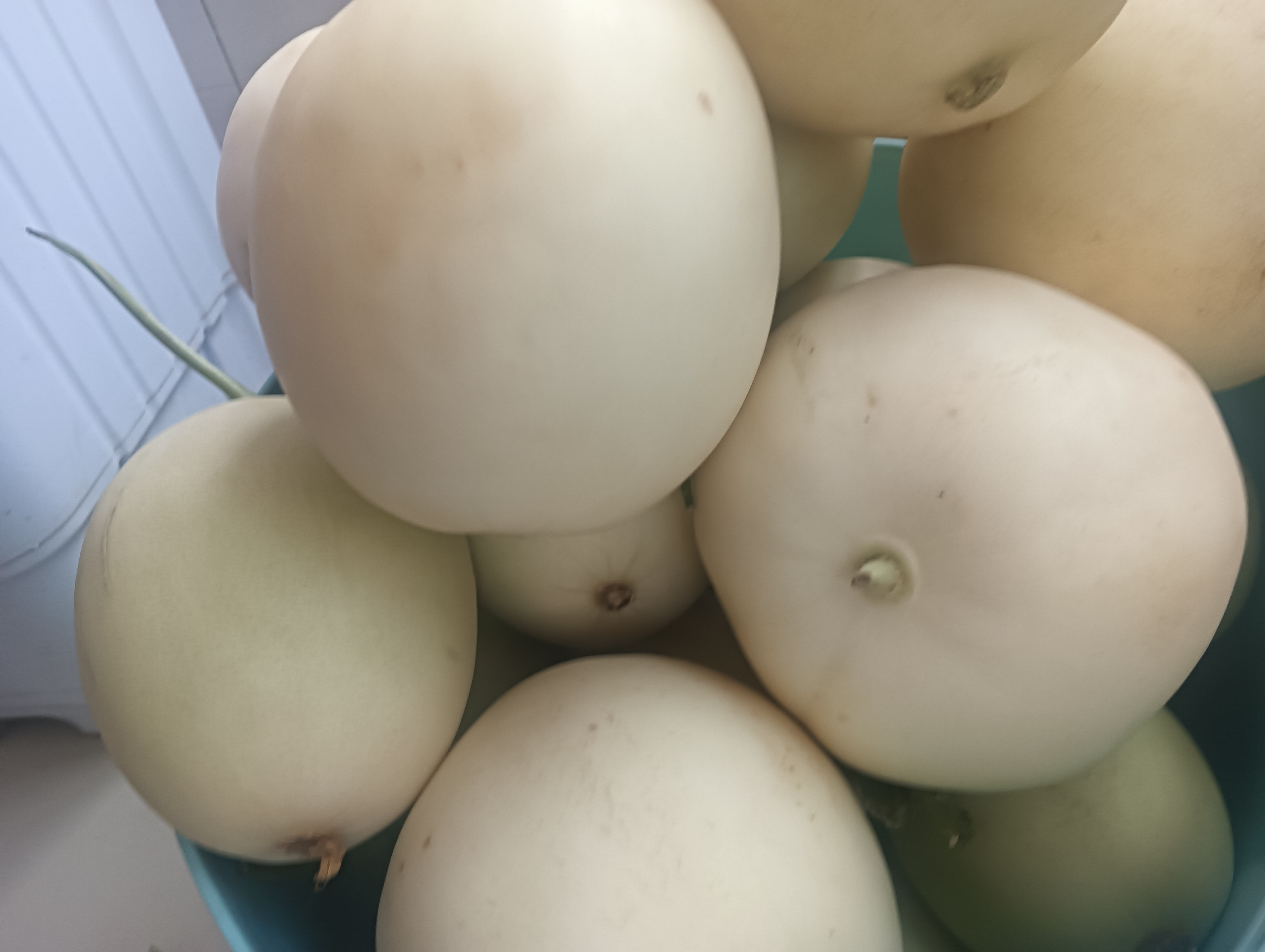 白玉菇甜瓜在商超货架陈列场景