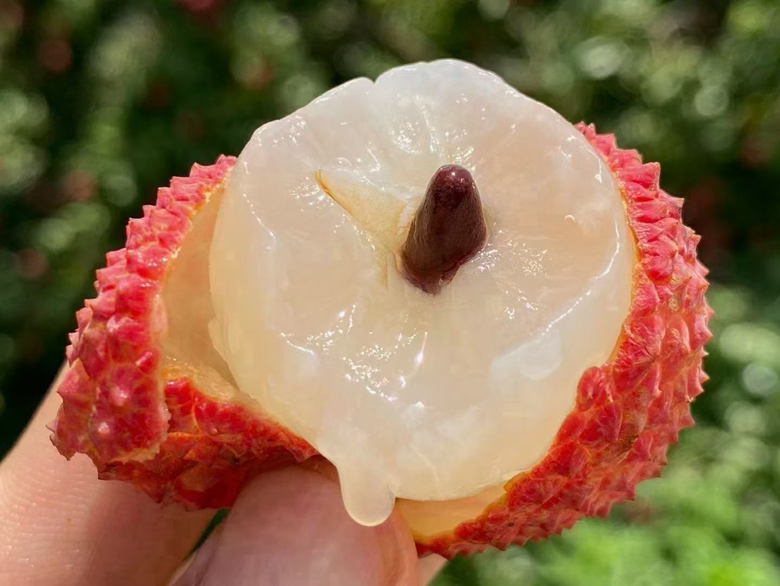 一颗被横向切开的桂味荔枝,露出洁白饱满的果肉和细小的种子,旁边摆放着完整果实进行大小对比,背景为木质托盘和绿叶装饰,突出其精致美感 桂味荔枝切开对比图