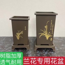 花盆