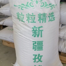 新疆精品孜然***********