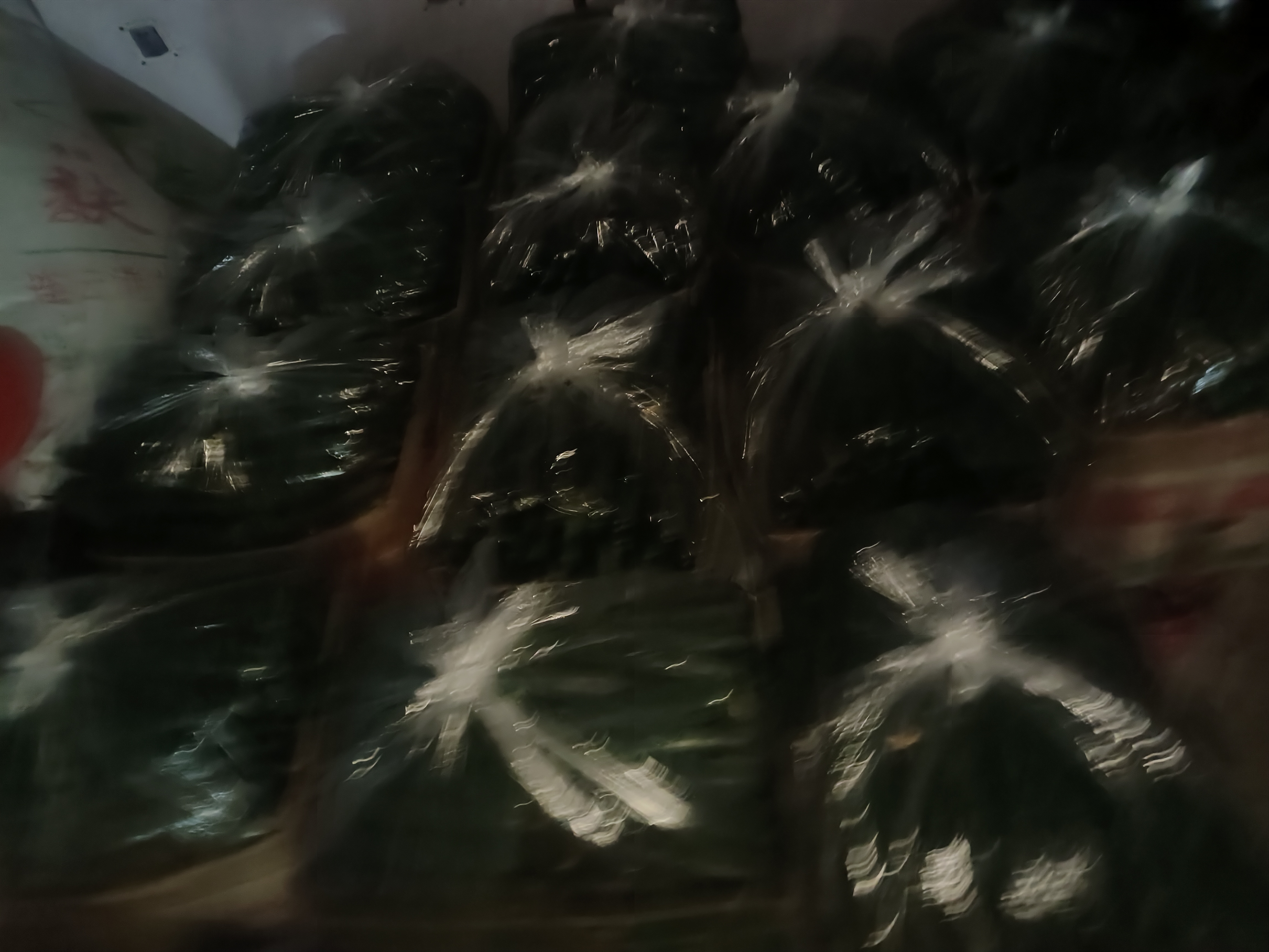 成品包装展示图