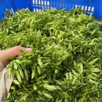 夜香花