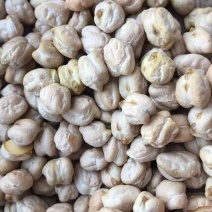 进口中颗粒鹰嘴豆桃豆鸡豆8mm