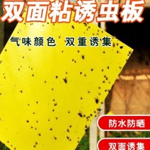 双面粘胶多色诱虫板适合农田果蔬种植厂家直销