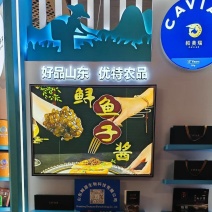 精品鱼子酱，厂家货源充足保质保量欢迎随时订购
