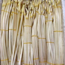 湖北藕尖