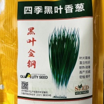 黑叶金刚黑叶香葱种子四季小香葱耐热耐寒春夏秋山东小葱种子