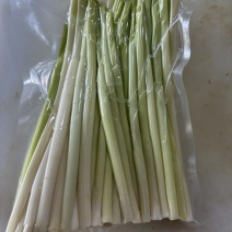 精品蒲菜