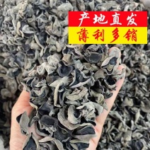 产地直销东北特产黑木耳厚肉诚信合作量大从优