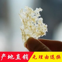 本草银耳产地直销批发干货破壁免煮冲泡