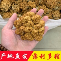 菌菇干货滑子菇干货产地直销批发滑子蘑菇新鲜滑蘑滑菇